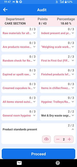Audit Feature